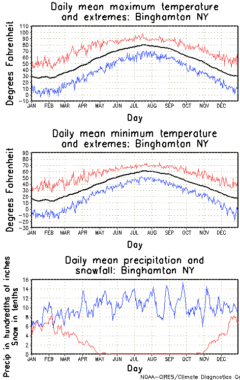 Binghamton New York Annual Temperature Graph