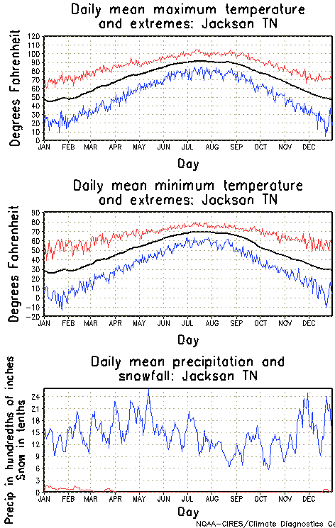 Jackson, Tennessee Annual Temperature Graph