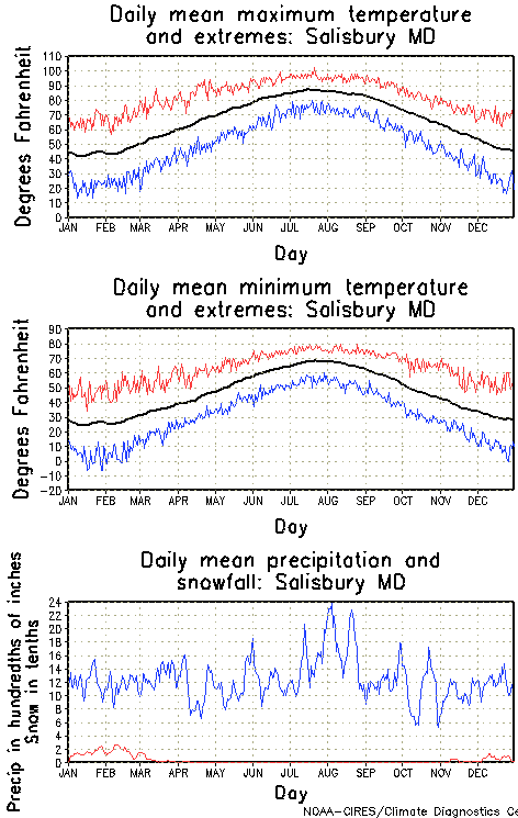 Salisbury, Maryland Annual Temperature Graph